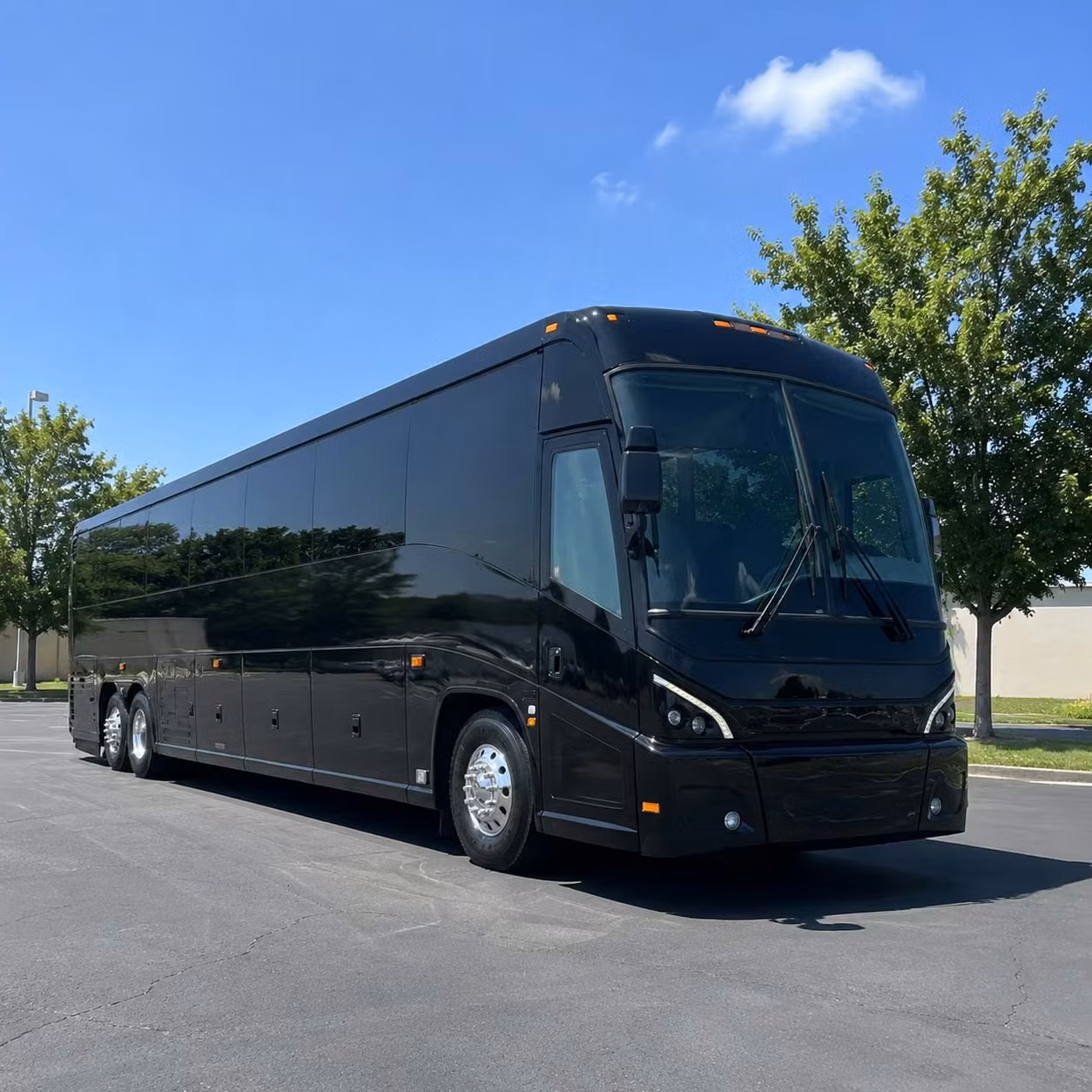56 passenger charter bus