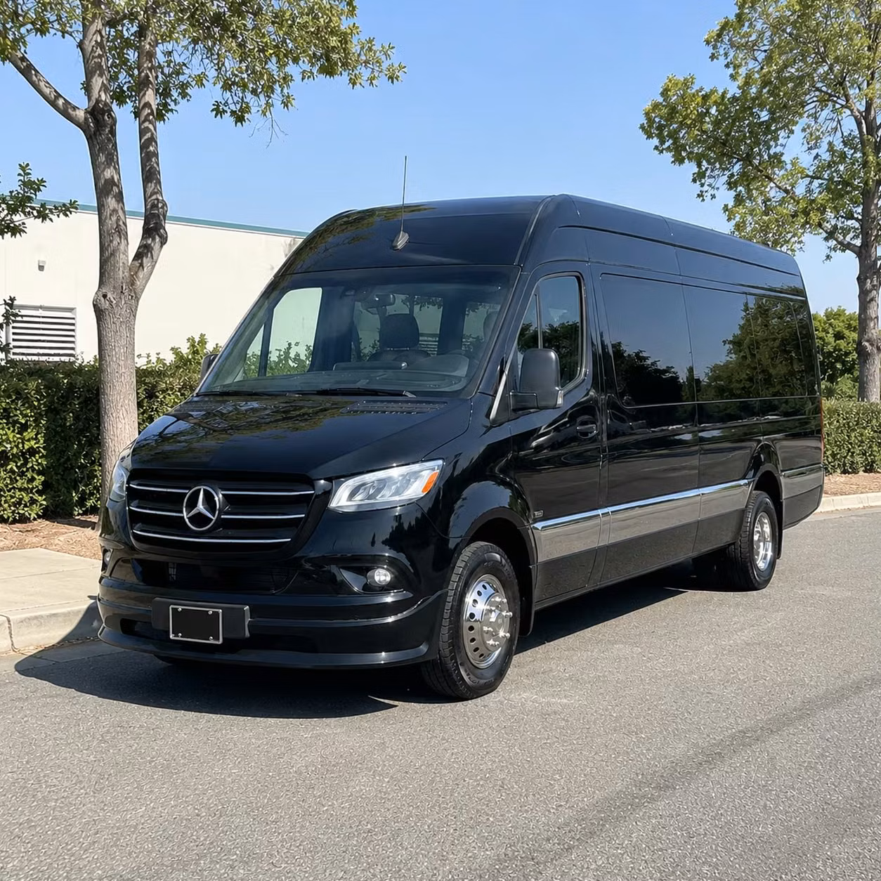sprinter van with driver